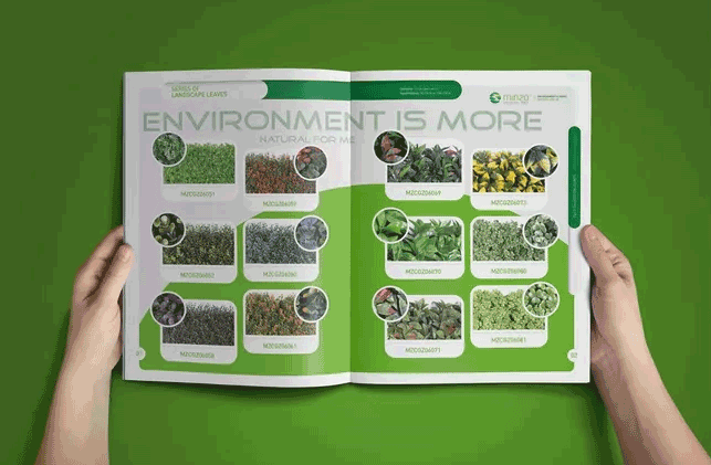 綠色主題畫冊  第7張