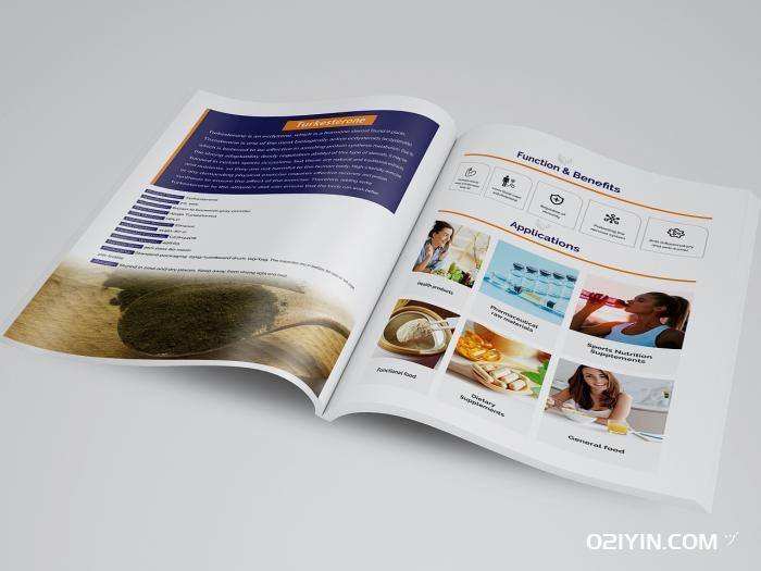 天津畫冊(cè)印刷