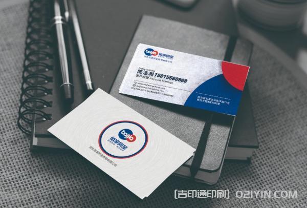 多變版式商務名片設計  第13張