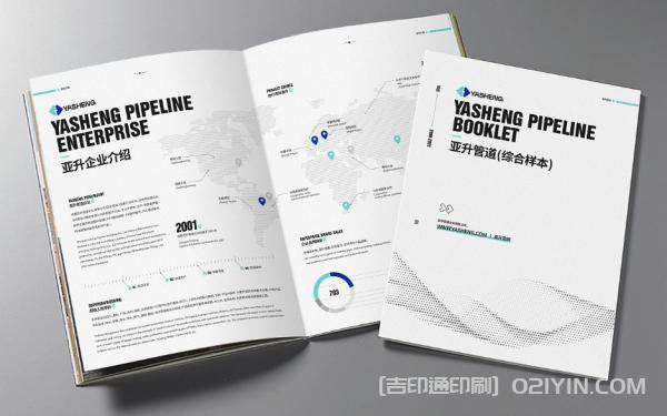 企業(yè)綜合樣本印刷 第2張 企業(yè)綜合樣本印刷 第2張