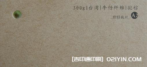 特種紙名片紙樣高清圖片 第12張 特種紙名片紙樣高清圖片 第12張