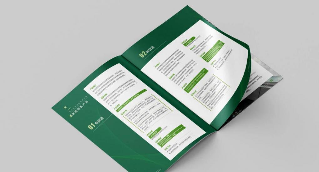 上海企業(yè)畫冊印刷：打造專業(yè)形象，傳遞品牌價值  第1張